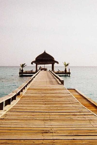 Creative portrait of a girl in a purple dress